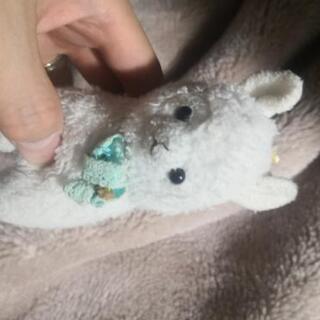 無料であげます　アルパカ