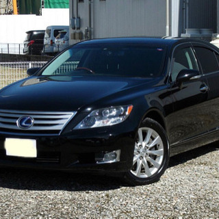 LS600中期