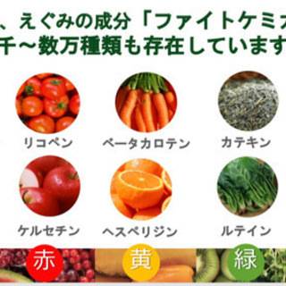 ドクターが話す予防医学、栄養学、アンチエイジングの画像