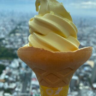 ハルカス300展望台入場券2枚＋パインアメソフト引換券2枚