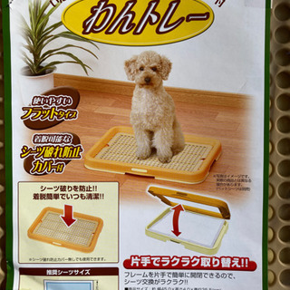 ペット犬用のトイレトレー￥1000【新品✨】