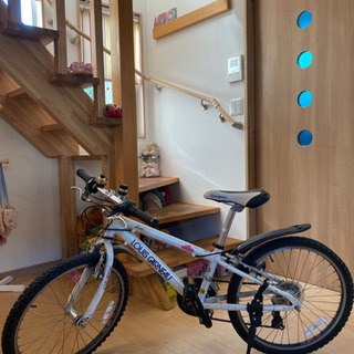 子供用自転車　ルイガノ　22インチ