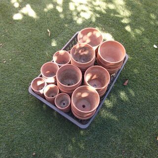 素焼きの植木鉢の画像