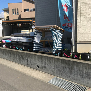 ゴールデンメダカ無人販売所 10月25日  紅白ラメ 琥珀ラメ ...