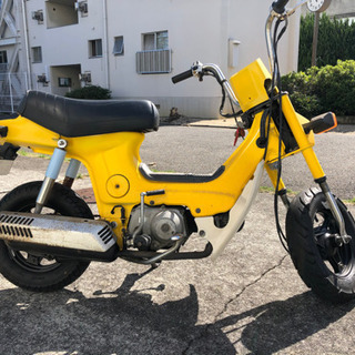 シャリー　6vの画像