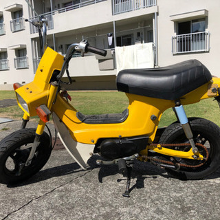 シャリー　6v