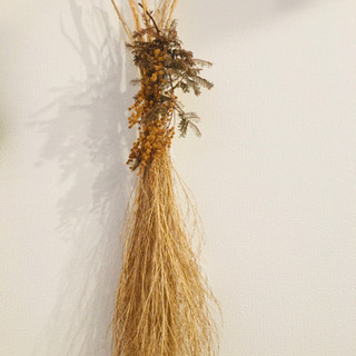 【コキア 】ハンドメイド/インテリアの画像
