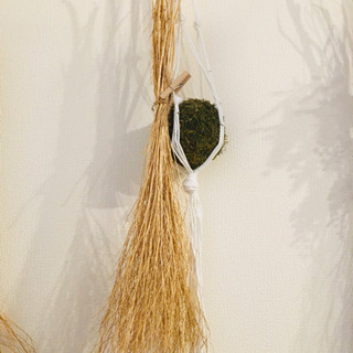 【コキア 】ハンドメイド/インテリアの画像