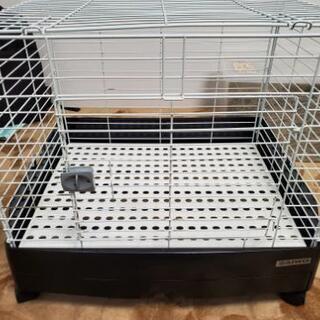 うさぎ飼育セット