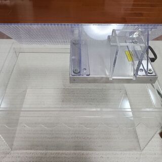 ヤドカリ.爬虫類飼育ケースの画像