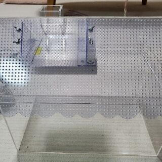 ヤドカリ.爬虫類飼育ケースの画像