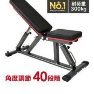 【11月30日まで！定価10,700円！耐荷重300kg！！】イ...