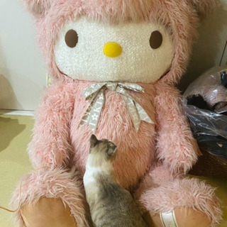 ミスチルタペストリー非売品