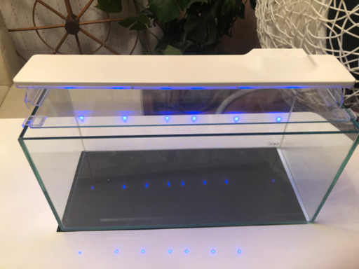 【ありがとうございました】45センチ水槽のLEDライト⭐︎