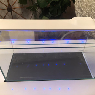【ありがとうございました】45センチ水槽のLEDライト⭐︎