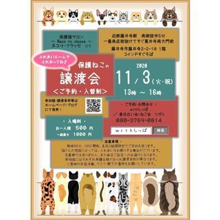 藤井寺市　予約制　保護猫譲渡会の画像