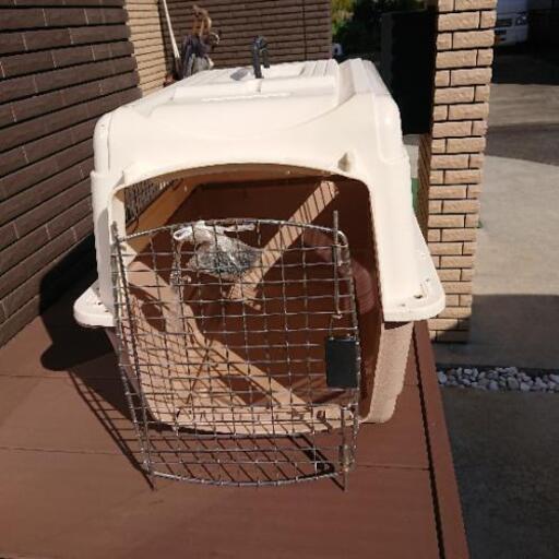 犬のゲージです