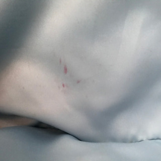 coach〜コーチ〜トートバッグの画像