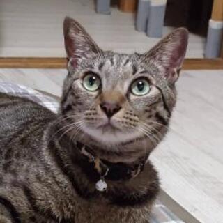 見つかりました╰(*´︶`*)╯♡