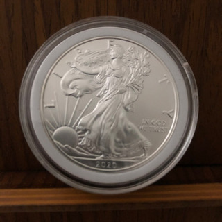 ウォーキングリバティ銀貨 10枚