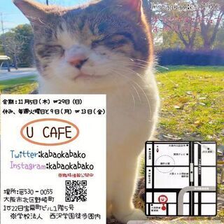 写真展
