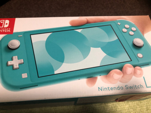 スイッチライト  ケース付き