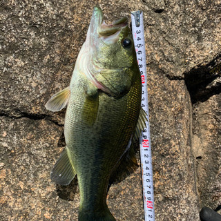 釣り友達を作る為のグループ作りました🎣