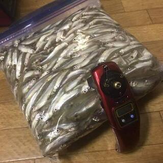 ワカサギ釣り仲間募集！ - 友達