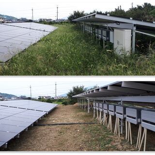 🌿✨ お安く草刈りします！ ✨🌿  🌲 剪定・木の伐採 🌿 除草剤散布・消毒 🏡 防草シート・お庭の片付け もおまかせください！  🚗 出張対応エリア 📍 和歌山市・岩出市・海南市・紀の川市 ほか近郊エリアOK！ 📍 大阪南部も対応します！  💁‍♂️ 親切・丁寧に対応いたします！  🌱 お庭のお悩み、お気軽にご相談ください😊 - 剪定/造園