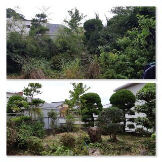 🌿✨ お安く草刈りします！ ✨🌿  🌲 剪定・木の伐採 🌿 除草剤散布・消毒 🏡 防草シート・お庭の片付け もおまかせください！  🚗 出張対応エリア 📍 和歌山市・岩出市・海南市・紀の川市 ほか近郊エリアOK！ 📍 大阪南部も対応します！  💁‍♂️ 親切・丁寧に対応いたします！  🌱 お庭のお悩み、お気軽にご相談ください😊 − 和歌山県