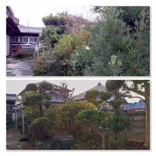 🌿✨ お安く草刈りします！ ✨🌿  🌲 剪定・木の伐採 🌿 除草剤散布・消毒 🏡 防草シート・お庭の片付け もおまかせください！  🚗 出張対応エリア 📍 和歌山市・岩出市・海南市・紀の川市 ほか近郊エリアOK！ 📍 大阪南部も対応します！  💁‍♂️ 親切・丁寧に対応いたします！  🌱 お庭のお悩み、お気軽にご相談ください😊 - 地元のお店