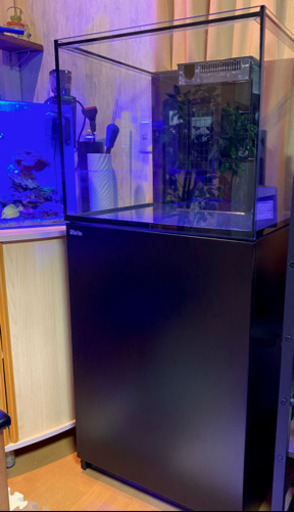 RedSea reefer170 リーファー 水槽 サンゴ オーバーフロー