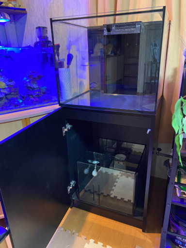RedSea reefer170 リーファー 水槽 サンゴ オーバーフロー RedSea reefer170 リーファー 水槽 サンゴ オーバーフロー