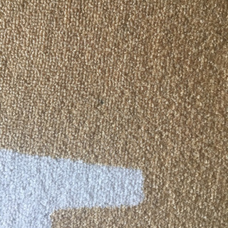 【取引中】お譲りします^_^ デスクラグ　カーペットの画像