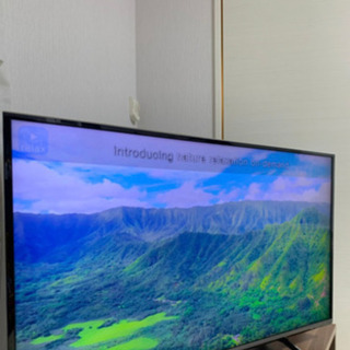 パナソニック 4K テレビ 2015年製