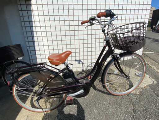 電動アシスト自転車