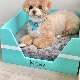 あなたの愛犬専用の犬小屋をデザインします！！