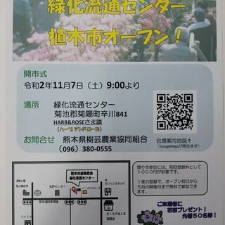 緑化流通センター　植木市オープン！