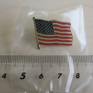 USのピンバッジの画像