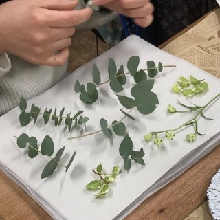 プレストフラワー始めてみませんか？今密かなブームの押し花スクールです。の画像