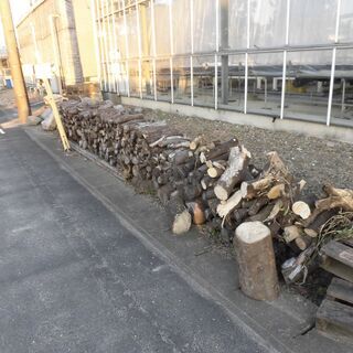 大量の薪欲しい人　差し上げます