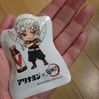 　☆鬼滅の刃　保冷剤☆の画像