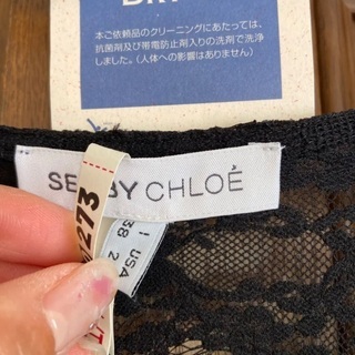 シーバイクロエ　ワンピースの画像