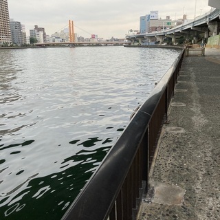 すみだ川遊歩道散策❗️ - メンバー募集