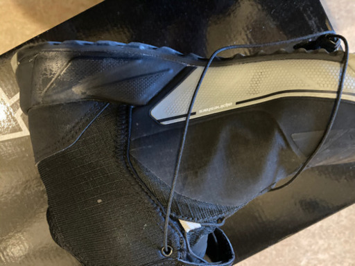 アルパインスターズ　cr-x  drystar 26.5cm！