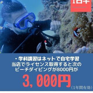 年末年始　沖縄でダイビングライセンス取得！25,000円（追加料...