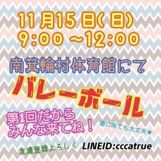 11/15(日)バレーボールやります‼️ぜひご参加ください🤗❕