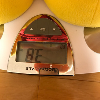 アンパンマン大きなぬいぐるみの画像