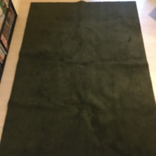 無印良品　カーペット　200×140 深緑