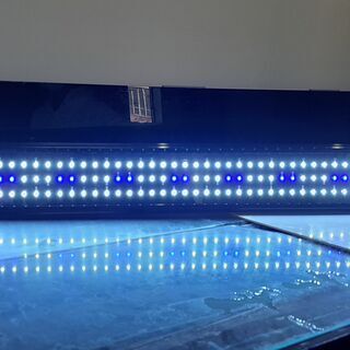 W1800×D900×H800 水槽フルセット　上部下部フィルター付き　LED照明付き　アロワナ　大型水槽　熱帯魚の画像
